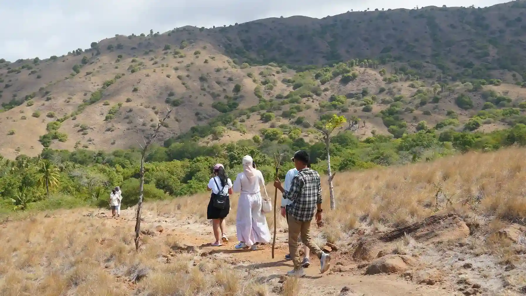 Komodo Luxury Charters: Activities and Excursions for 2027